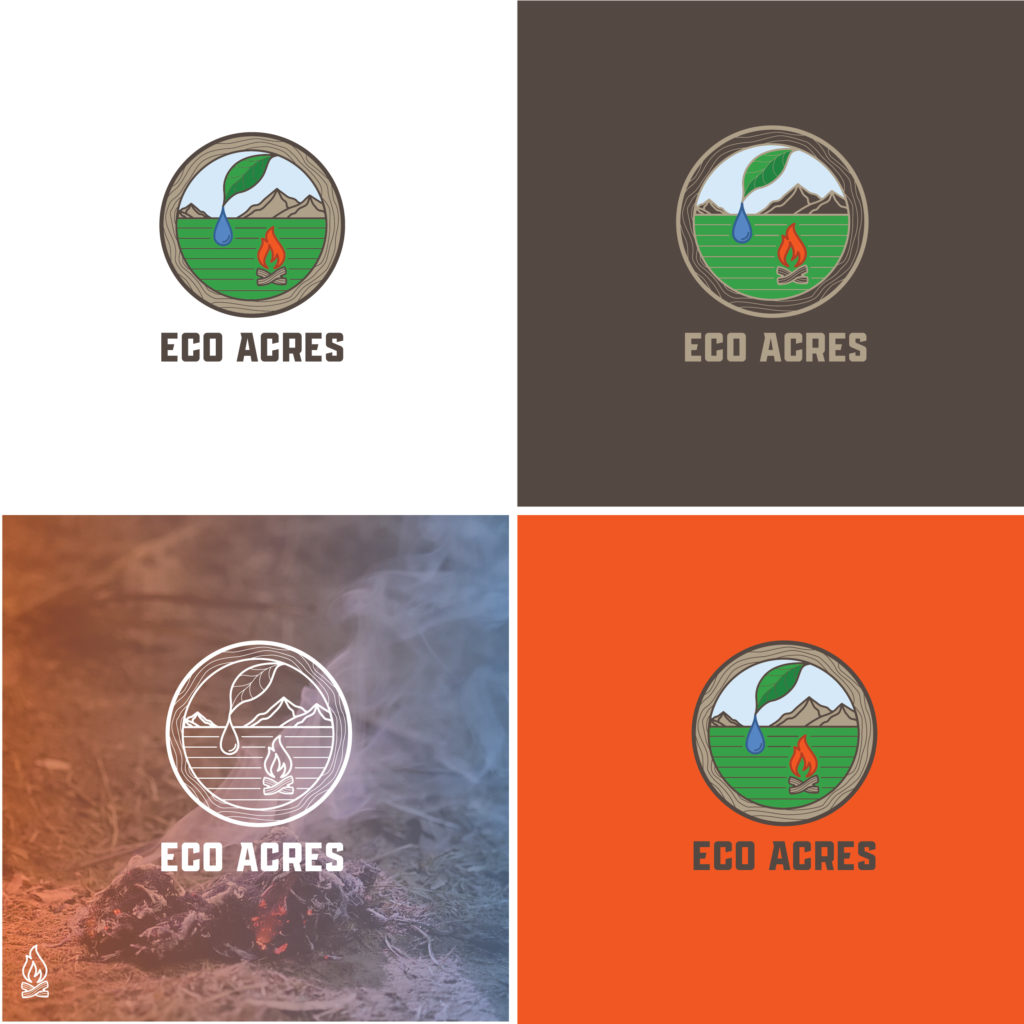 Case Study: Eco Earth Branding and Website